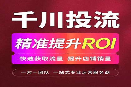 SEM服务在本地化营销中的应用案例